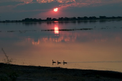 GEO_0306.sunset.ducks.1